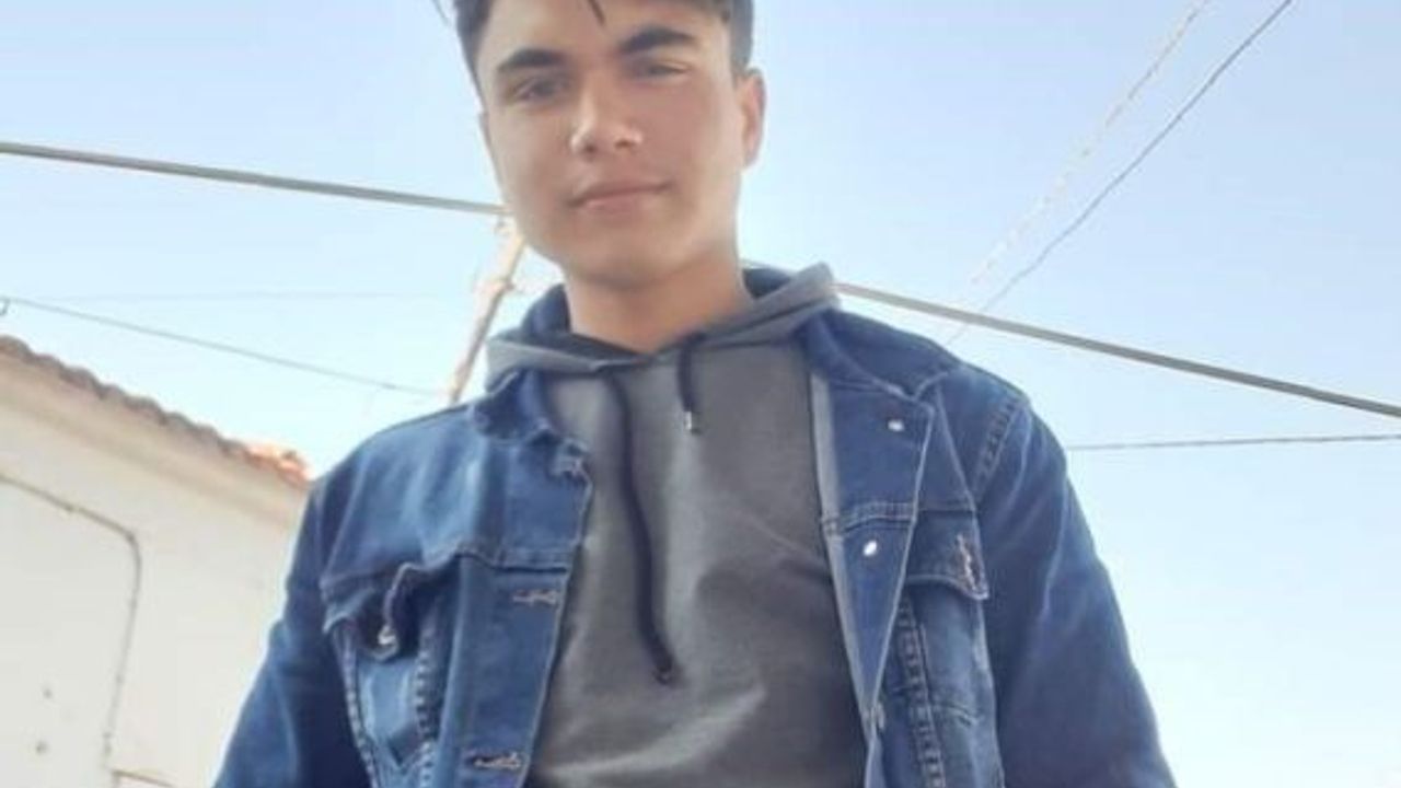 Aydın'da kozalak toplarken akıma kapılan genç öldü