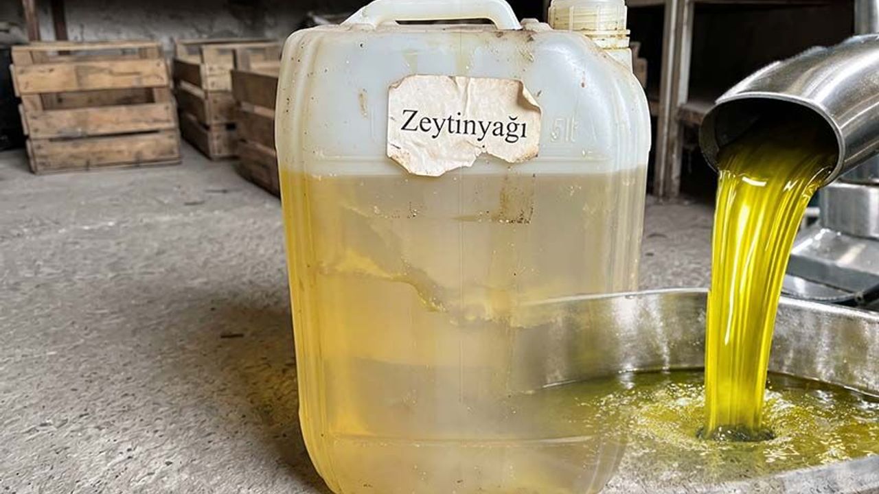 Aydın yine kara listede: Zeytinyağında bir skandal daha
