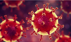 Koronavirüs aşısının ardından 'normal'e dönecek miyiz?