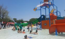 Aydın Büyükşehir Belediyesi Aqua Park’ına yoğun ilgi