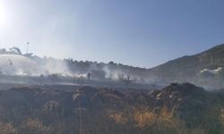 Bodrum’da makilik alanda yangın