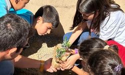 Aydın'da ilkokul öğrencileri hem zeytinin önemini anladı hem de fidan dikti