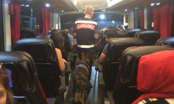 Aydın'da otobüse jandarma baskını