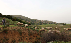 Aydın'da yaşıyor, ömrünü koyunlarına adadı