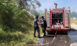Aydın'daki yangına çok sayıda ekip müdahale etti