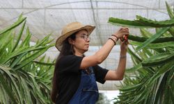 Genç kadın Aydın'a yerleşti, huzuru tarımda buldu
