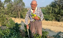 88 yaşındaki İbrahim amca üretime devam ediyor