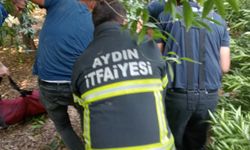 Aydın'da ekipler zamanla yarıştı