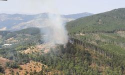 Aydın’ın ciğerleri yanıyor