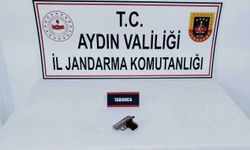 Aydın'da silah kaçakçılarına operasyon: 15 yakalama