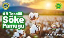 Söke Pamuğu, AB tarafından da tescillendi