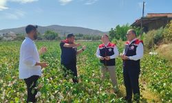 Aydın Didim'de üretim alanları kontrol edildi