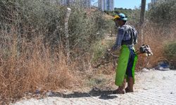 Kuşadası Belediyesi daha temiz ve daha yeşil bir kent için çalışıyor