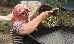 Aydın’da günlük 3 bin liraya çalışacak eleman arıyor