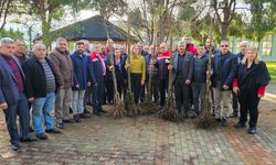 Aydın Nazilli’de hastalıklara dayanıklı kestane fidanı dağıtıldı