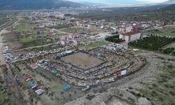 Aydın’da deve güreşi için geri sayım başladı