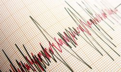 Aydın’da hafif şiddetli deprem