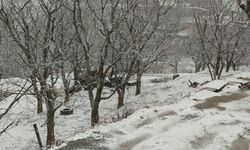 Aydın’da kar yağışı başladı.. O bölgeler beyaza büründü