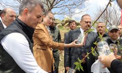 Aydın’da binlerce böcek doğaya bırakıldı.. Sebebi bakın ne?