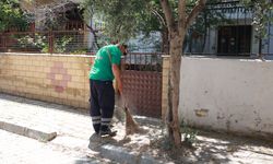 Aydın Efeler’deki mahalle haber olunca belediye çalışma başlattı