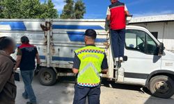 Aydın’da canlı hayvan taşıyanlar yakalandı