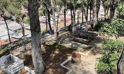 Aydın’ın yeni piknik alanı.. Doğal ortamı, eşsiz havası ile ziyaretçilerini bekliyor