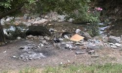 Aydın’da 3 kişi ormanda yakalandı