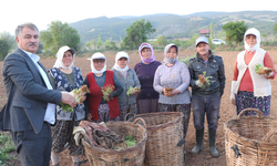 Tarlada yevmiye ücretleri beli oldu