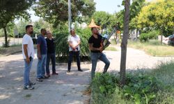Nazilli’de komik mülakat.. İşe alınacak personelin otları nasıl biçtiğini belediye başkanı inceledi