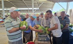 Karpuzun kilosunu 3 liradan sattı