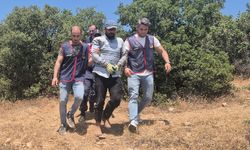 Ormanlık alanda kıskıvrak yakalandı