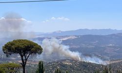 Son dakika.. Aydın’da yangın başladı