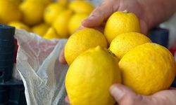 Limonun kilosu 200 TL’ye çıktı! Vatandaş şaşkın, pazarcılar dertli