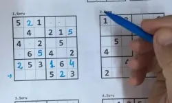 Unutkanlığa karşı bulmaca yerine yeni öneri