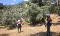 Aydın’da jandarma ekipleri ormanda önlem aldı