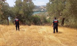 Aydın’da jandarma ormanı didik didik aradı