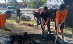 Söke Belediyesi kaderine terk etti, esnaf kendisi temizledi