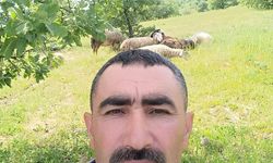 Avcı tarafından vurulan çoban hayatını kaybetti