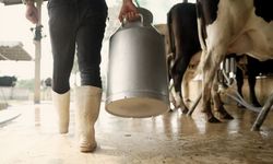 Aydın'a 66 milyon lira ödeme