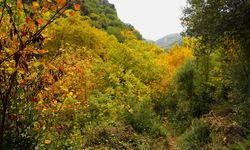 Burası Aydın’ın saklı cenneti