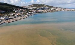 Denizin rengi değişti