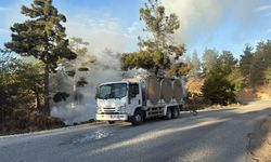 Orman yangınında alevlere sütle müdahale etti