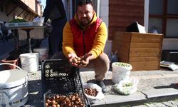 Tam bir şifa deposu..! Aydın’ın dağlarında yetişiyor