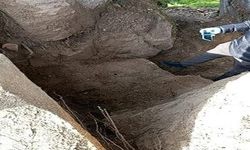 Aydın’da 4 kişi zeytinlik alanda basıldı