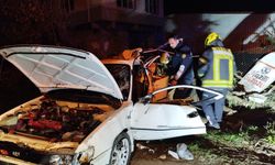 Aydın’da can pazarı