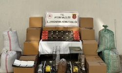 Aydın’da iki eve baskın