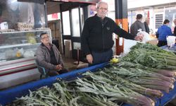 Aydın’da karaciğer dostu enginara yoğun ilgi