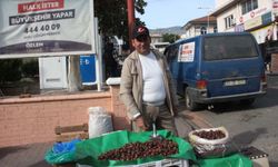 Aydın’da kestane tezgaha çıktı, fiyatı beli oldu