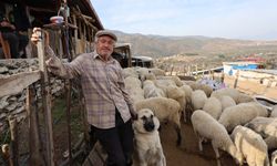 Aydın’da meralar boşaldı