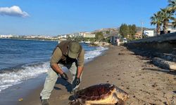 Aydın’da neler oluyor? Üçü de ölü olarak bulundu